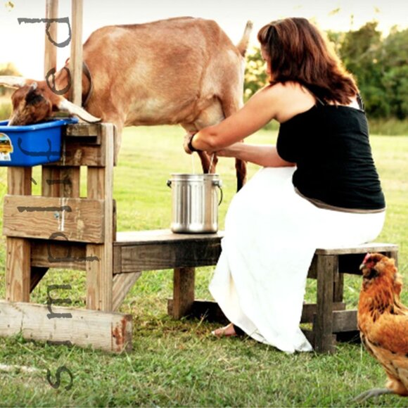 SIMPLIFIED Oatmeal, Milk & Honey 5-Piece Sampler Set - Picture 10 of 12